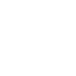 White LinkedIn Icon